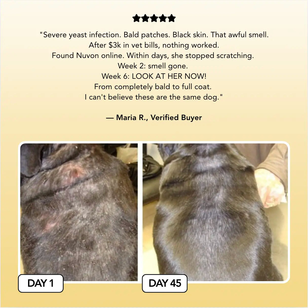 Vet-backed skin relief spray